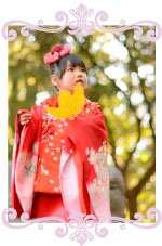 ともぞうの写真